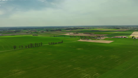 Weitläufige-Luftaufnahme-Von-Grünen-Feldern,-Durchsetzt-Mit-Braunen-Flecken-Und-Einer-Reihe-Von-Bäumen
