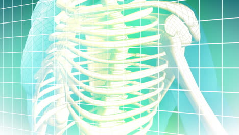 Medizinische-Hintergrundanimation-2