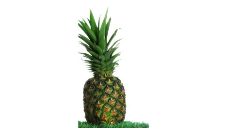 Pineapple-on-grass-rotating-