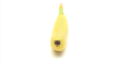 Plátano-Giratorio