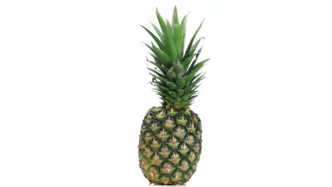 Big-pineapple-rotating-
