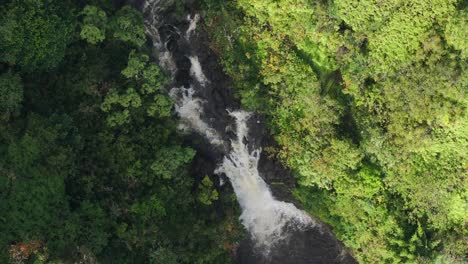 A-lush-green-forest-with-a-cascading-waterfall-on-maui's-north-shore,-aerial-view