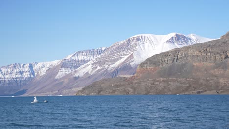 Natural-Beauty-of-Greenland,-Snow-Capped-Mountain-Peaks-Above-Sea-on-Sunny-Spring-Day