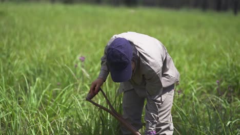 Mujer-Campesina-Cavando-Para-Plantar-Plántulas-De-árboles-De-Trompeta-Rosa-Lapacho