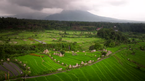 Malerisches-Ackerland-Auf-Bali,-Indonesien-–-Luftaufnahme-Einer-Drohne