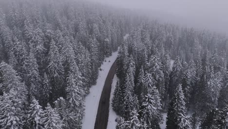 Rising-drone-shot-of-black-car-on-mountain-road-surrounded-by-snowy-trees-during-peaceful-winter-foggy-day-in-Italy