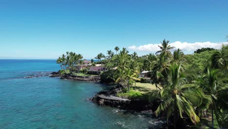 Beautiful-Hawaiian-Homestead-Oceanfront-Property