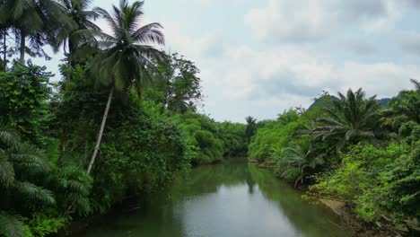 Flying-over-the-Caue-River-following-a-bird-and-revealing-the-beauty-of-the-green-forest-of-south-of-São-Tomé,Africa
