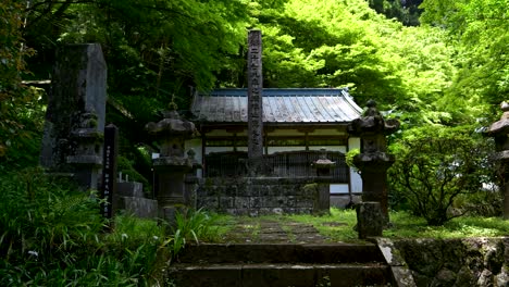 Impresionante-Templo-Japonés-Dentro-De-Un-Exuberante-Bosque-Verde