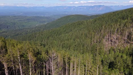 Scenic-Aerial-view-flying-over-forest-in-Issaquah-Alps-in-Washington-State