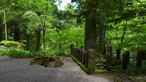Walking-through-lush-forest-with-typical-Japanese-stone-pillars