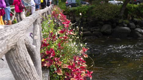 Blumen-Und-Menschen-Auf-Einer-Hölzernen-Fußgängerbrücke-In-Pont-Aven,-Bretagne,-Frankreich,-Zeitlupe