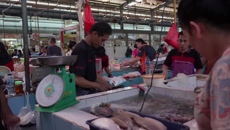 Un-Cliente-Elige-Peces-Vivos-En-Un-Mercado-Interior-De-Indonesia