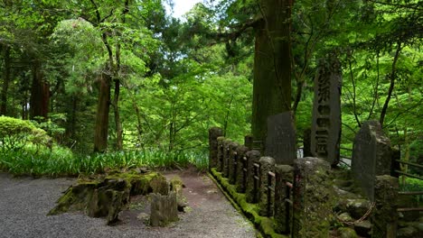 Paisaje-Típico-Dentro-De-Un-Exuberante-Bosque-Verde-Japonés