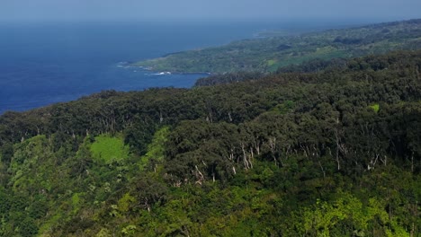 Dense-native-forests-in-uplands-from-sloping-landscape-down-to-coast-on-North-shore-of-Maui