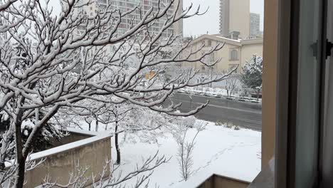 Schneebedeckter-Baum-Im-Winter,-Stadtlandschaft-Von-Teheran,-Starker-Schneefall-Im-Nahen-Osten,-Asien,-Arabische-Kultur,-Leben-Der-Einheimischen-In-Der-Innenstadt-Des-Iran,-Landschaft-Mit-Blick-Auf-Die-Straße-Bei-Kaltem-Wetter,-Stadtleben