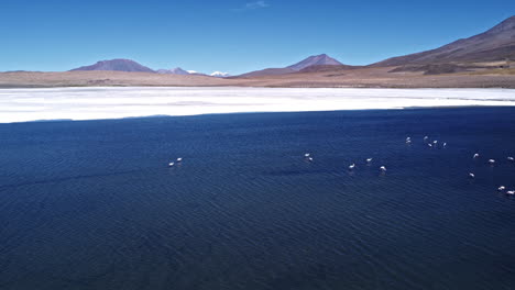 Panorama-Luftbild-Einer-Flamingoherde,-Die-Sich-Auf-Dem-Wasser-In-Uyuni,-Bolivien-Versammelt-Hat