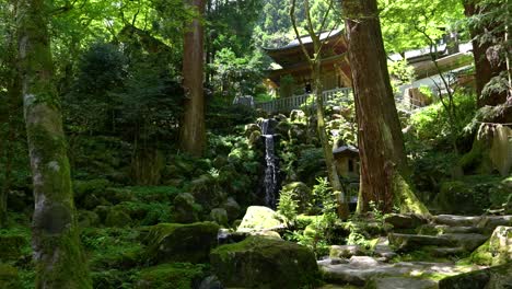 Avance-Rápido-Hacia-La-Hermosa-Cascada-En-Un-Exuberante-Templo-En-Un-Bosque-Verde