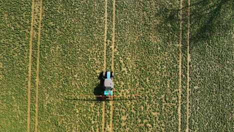 An-aerial-shot-directly-above-a-tractor-in-a-field,-emphasizing-the-straight-lines-of-the-crop-rows