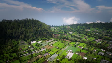 Scenic-Farmlands-And-Lush-Vegetation,-Mount-Batur-Landscape-In-Bali,-Indonesia---Aerial-Shot
