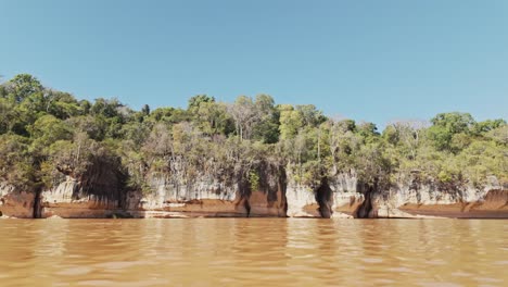 Exotischer-Rotbrauner-Manambolo-Fluss