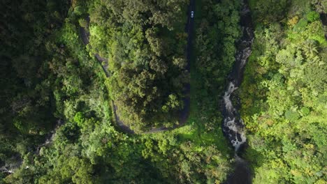 Exuberante-Vegetación-A-Lo-Largo-De-Una-Carretera-Sinuosa-Y-Un-Río-En-La-Pintoresca-Autopista-Hana-De-Maui.