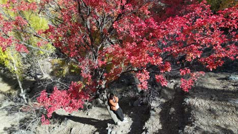 Man-lean-on-autumn-tree-drone-flight-in-skardu-citiy-pakistan