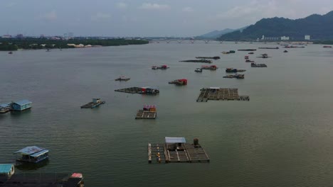 Aerial-view-of-traditional-floating-fish-farms-on-calm-waters,-with-a-distant-bridge-and-shoreline-in-the-background