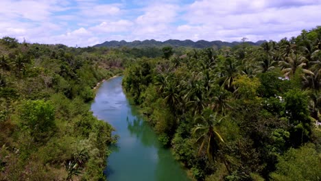 Philippinen,-Bohol:-Das-Video-Fängt-Eine-Luftaufnahme-Des-Loboc-Flusses-Ein,-Der-Sich-Durch-Den-Wald-Schlängelt,-Und-Zeigt-Den-Gewundenen-Lauf-Des-Flusses