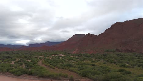 Aerial-view-of-vegetation-and-mountains-in-the-landscape-of-Quebrada-Las-Conchas,-Salta,-Argentina