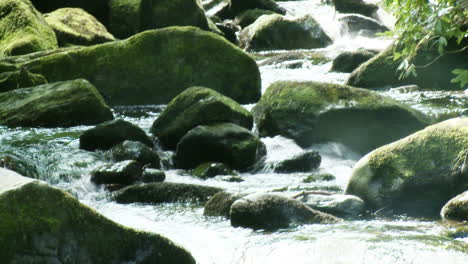 Stock-Footage-of-River-