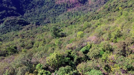 Aerial-view-of-the-crater-of-an-inactive-volcano-with-abundant-vegetation-and-trees,-pines,-cedars,-oaks