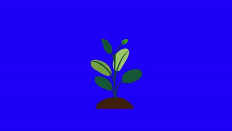 Plant-with-6-leaves-grows-and-germinates-on-dirt-mound-on-blue-background