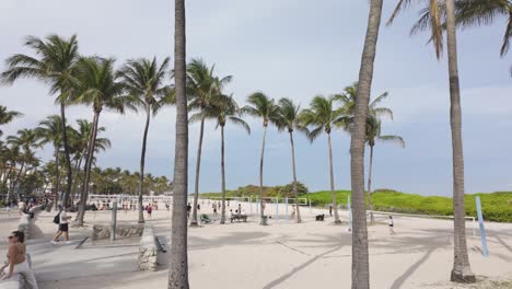 Palmen-Säumen-Den-Sandstrand-Von-Miami-Beach-Und-Menschen-Genießen-Den-Sonnigen-Tag