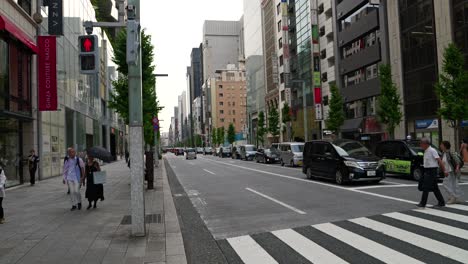 Paisaje-Típico-De-Tokio-En-El-Distrito-Comercial-De-Ginza-En-El-Centro-De-La-Ciudad