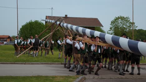 Junge-Männer-Heben-Einen-Traditionellen-Bayerischen-Maibaum