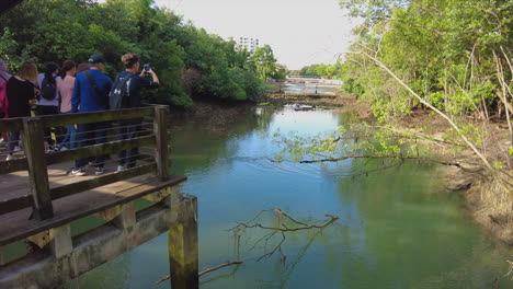 Der-Pasir-Ris-Mangrove-Park-Ist-Ein-Ruhiges-Naturschutzgebiet-Im-Osten-Singapurs,-Im-Pasir-Ris-Park