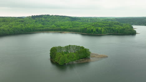 An-aerial-view-of-a-small-island-covered-with-dense-green-trees-in-the-middle-of-a-lake,-surrounded-by-lush-green-forest