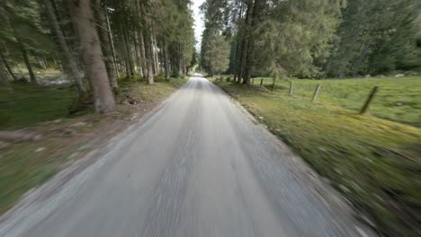 Flying-over-the-forest-road,-aerial