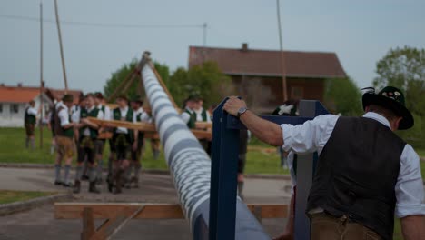 Men-lifting-and-setting-up-a-traditional-Bavarian-maypole