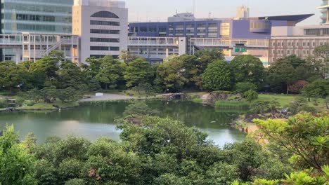 A-serene-city-park-with-a-pond-surrounded-by-lush-trees-and-modern-buildings-in-the-background