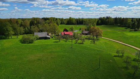 Drones-Aéreos-Vuelan-Aldea-Rural-A-La-Luz-Del-Día,-Casas-Rurales-Aisladas-En-Un-Paisaje-De-Bosque-De-Pinos-Verdes