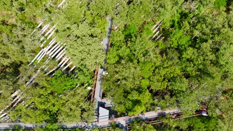 Puéchabon-open-laboratory-trails-wind-through-lush-forest,-perfect-for-scientific-exploration