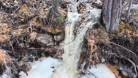 Frühlingswasserfall-Im-Wald,-Wo-Die-Natur-Lebendig-Wird