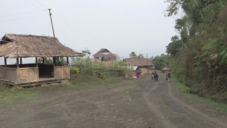 Landscape-or-houses-and-environment-of-people-living-in-Nagaland,-India