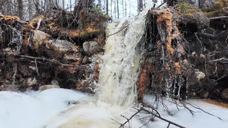 Corriente-De-Agua-De-Manantial-Creando-Una-Cascada-En-El-Bosque