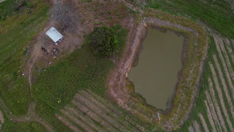 -Drone-over-small-pond-and-lonely-house