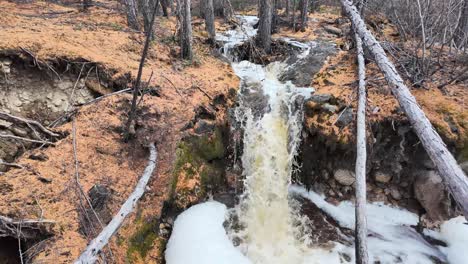 Spring-waters-flowing-down-a-slope-in-the-forest,-enlivening-nature