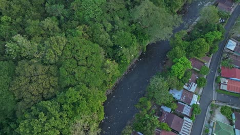 Flight-of-Freedom:-Aerial-Perspective-of-Birds-in-Motion