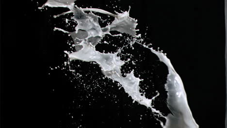 Milk-splashes-in-super-slow-motion